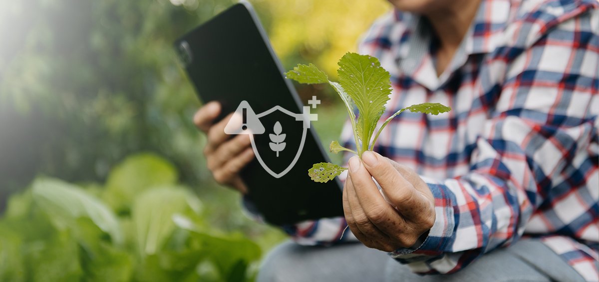 Agrivi Vietnam Coltd